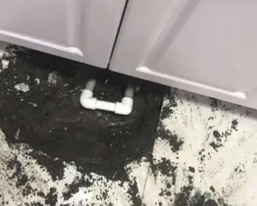 青冈查漏水哪家好